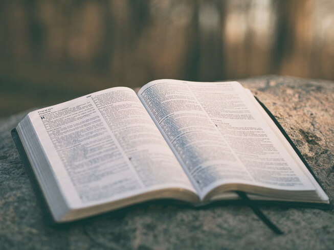 book open lying on a rock
