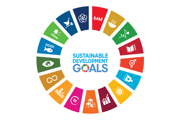 Sustainable Development Goals graphic